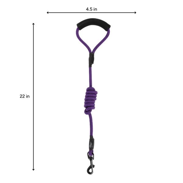 Brookbrand-Pets-Short-Leash-1-Purple