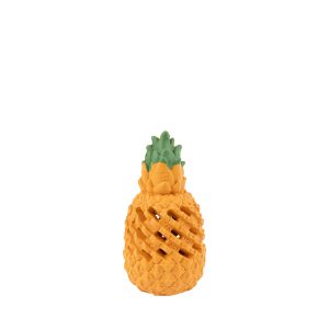 Brookbrand-Pets-Zilla-Pineapple-Small