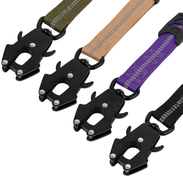 Brookbrand-Pets-Dual-Handle-Bungee-Leash-Beige-Black-Purple-Green