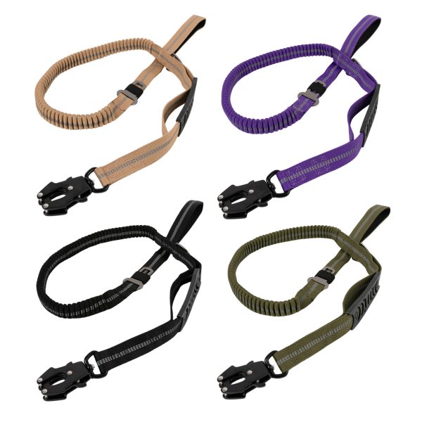 Brookbrand-Pets-Dual-Handle-Bungee-Leash-Beige-Black-Purple-Green