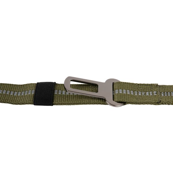 Brookbrand-Pets-Dual-Handle-Bungee-Leash-Green