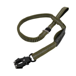 Brookbrand-Pets-Dual-Handle-Bungee-Leash-Green