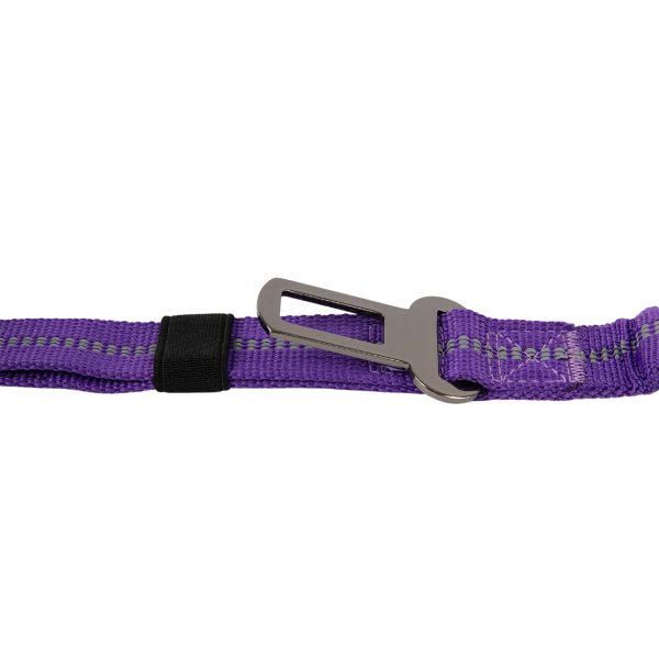 Brookbrand-Pets-Dual-Handle-Bungee-Leash-Purple