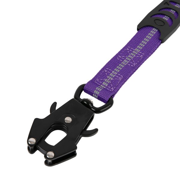 Brookbrand-Pets-Dual-Handle-Bungee-Leash-Purple