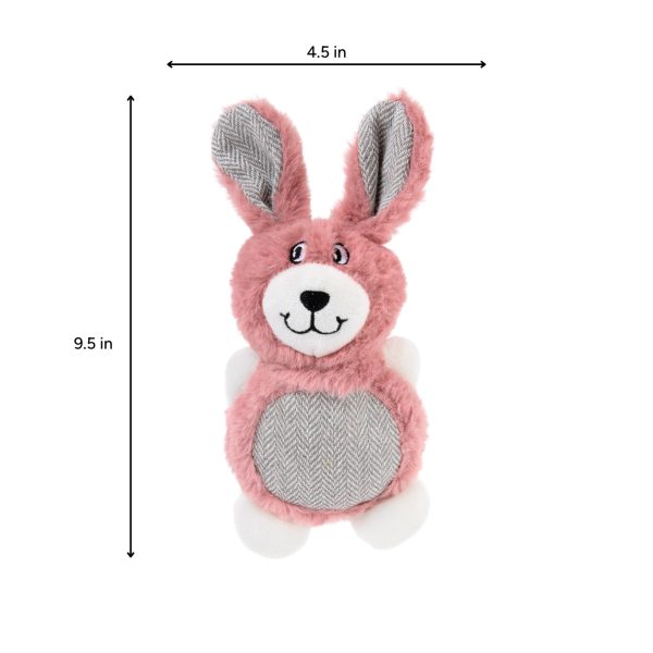 Brookbrand-Pets-Pink-Bunny-Munchkin