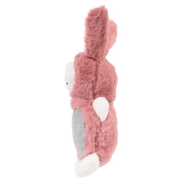 Brookbrand-Pets-Pink-Bunny-Munchkin