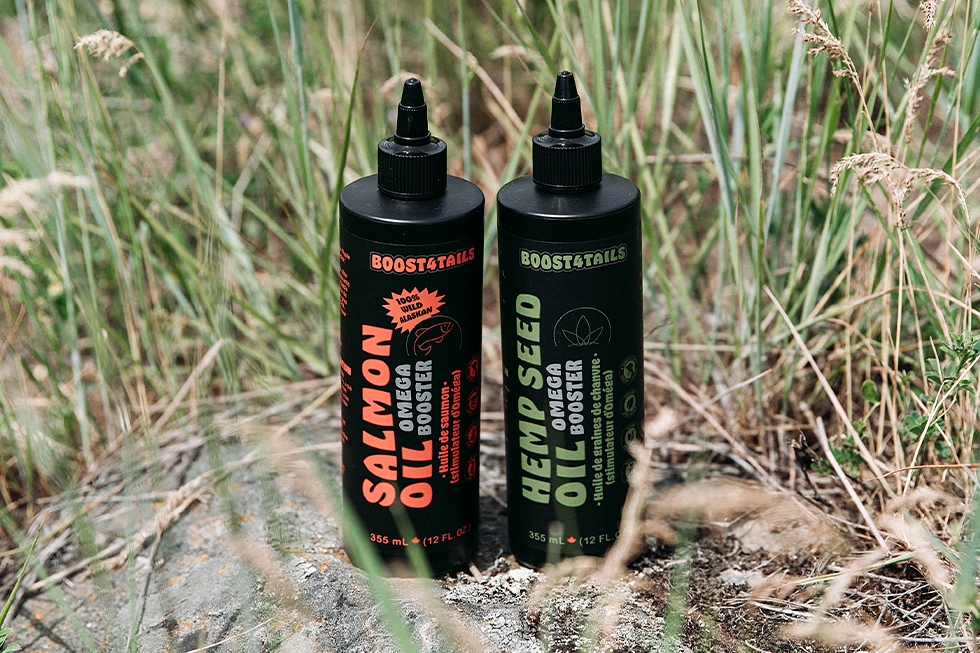 Wild Alaskan Salmon Oil vs. Hemp Seed Oil