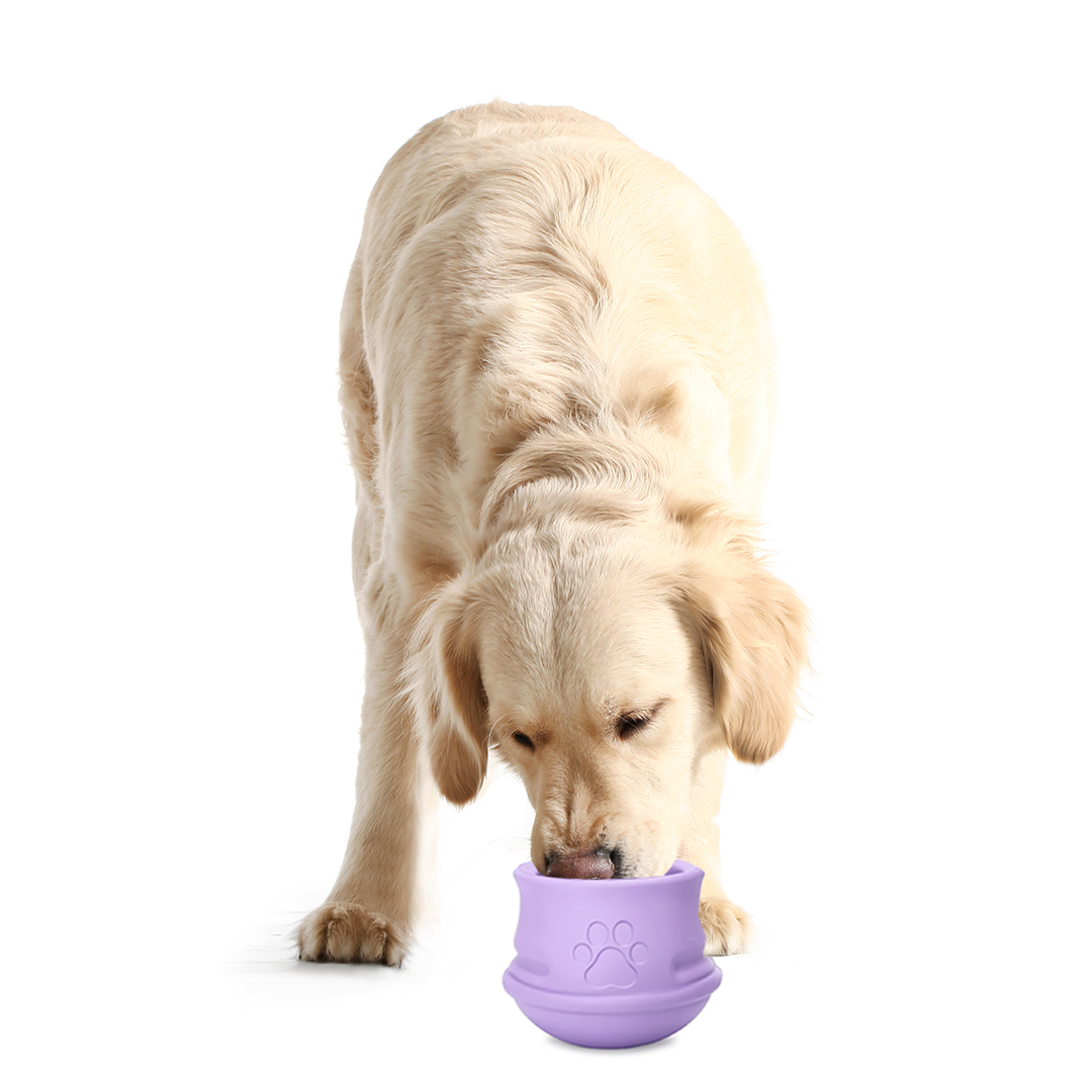 Interactive Enrichment Toy, Large (Purple)